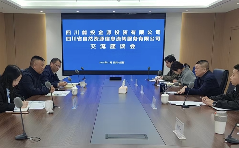 ԴЭ ƻӪĴʡͶԴͶ޹˾ת˾չ̸